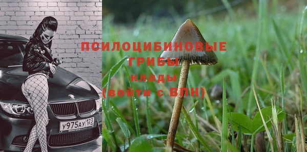 наркотики Каменск-Шахтинский